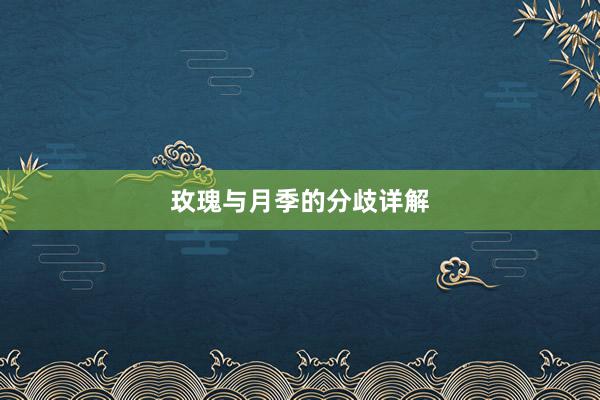 玫瑰与月季的分歧详解